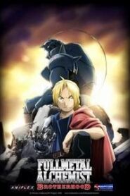 Fullmetal Alchemist: Brotherhood